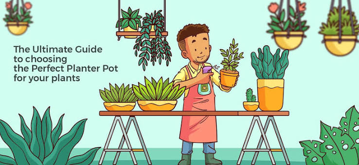 Illustration showing different plant pots and planters for choosing the perfect pot for healthy plant growth